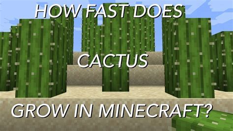 How To Grow Cactus In Minecraft Fast? Easy Method Revealed