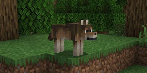Most Common Wolf In Minecraft